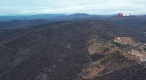 Bursa'da arazi kavgası: Baltalar ve sopalar konuştu