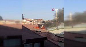 Bursa'da armut ve şeftalide tekleme zamanı geldi