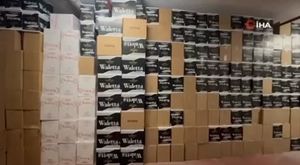 Bursa'da maket ayıyı gören ayılar şaştı kaldı