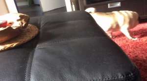 Canlı Yayın - BtvB - 2016-04-03 08:17