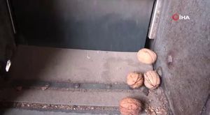 Bursa Gemlik'te vatandaşlara ekmek dağıtımı