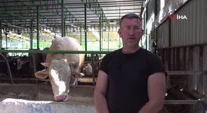 Türk Marşı'nı muhteşem çalan kuryeye büyük davet