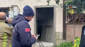 Bursa'da ayılar mahalleli ile arkadaş oldu