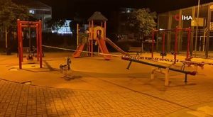 Bursa Uludağ Yolu'nda aç kalan yavru tilkiyi beslediler