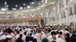 Uludağ'da kış uykusuna yatamayan ayılar yemek aramaya çıktı