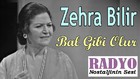 Zehra Bilir - Bal Gibi Olur (1974)