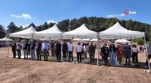 Bursa Uludağ’da aç kalan ayı yerleşim alanına indi: