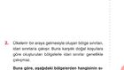 BÖLGE TÜRLERİ-2