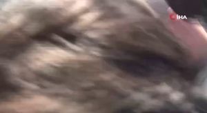 Meksika’da cinsiyet öğrenme partisinde uçak düştü: 1 ölü