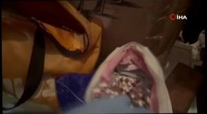 Bursa'da sokaktaki otomobillere böyle zarar verdi