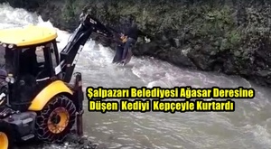 Şalpazarıses:Başbakan Davutoğlu Trabzon da Kimi Alnından Öptü