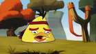 Angry Birds Toons 1.Sezon 51.Bölüm