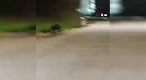 Boşanma aşamasındaki eşini öldürüp, kayınpederini yaraladı!