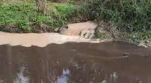Bursa'da tehlikeli taşımacılık kamerada! Kollarını açarak...