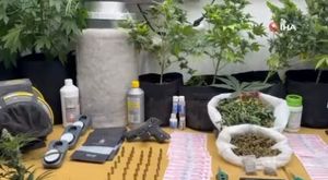 Kınalı kuzular için asker eğlencesi