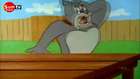 Tom And Jerry Comedy Show A Guerra Das Águias_2