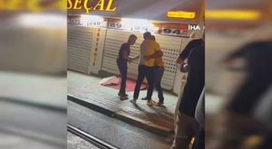 Bursa'da aç kalan domuz sürüsü şehre indi!