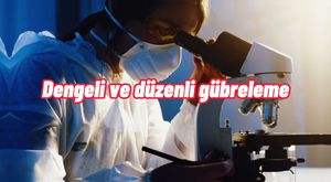 Discovery Channel - Dünyanın En Üstün İş Makinaları (Türkce Belgesel) 