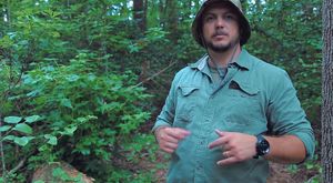 15 Shelters with a Tarp _ Camping & Bushcraft (1080p)