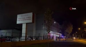 Türkiye’nin ıspanak ihtiyacının dörtte biri Bursa'dan