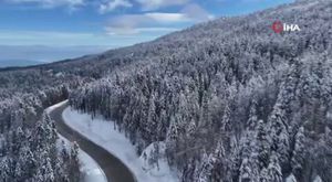 Bursa'da yürek burkan görüntü! Çöpü karıştıran kadın...