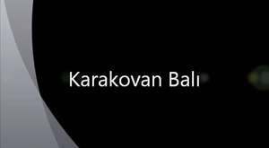 www.karakovan.biz
