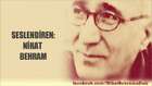 AZ EYLEMİŞ  Nihat Behram