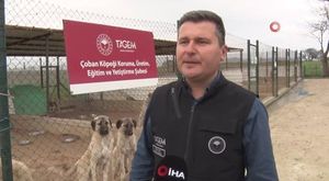 Bursa'da park halindeki kamyonet alev alev yandı