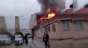 Bursa'da kraliçe arı ortalığı karıştırdı! Sokağı istila ettiler...