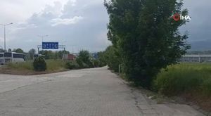 Bursa Uludağ’da aç ayılar köpek sürüsü ile kavga etti