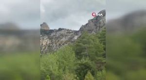 Vatandaşın ‘Bize saldırır bunlar’ diyerek heyecanla kayda aldığı yunusların şovu kamerada