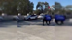 ANITKABİR'DE SLOGAN TERBİYESİZLİĞİ GELENEK HALİNE GELDİ