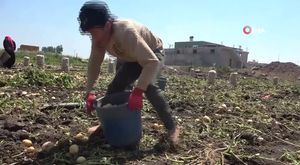 Karadeniz olması gerekenden sıcak