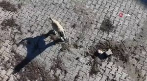 Geleneksel Kapı Tokmakları Sergisi İnegöl'de görücüye çıktı