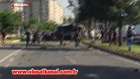 Diyarbakırdaki bombalı saldırıdan ilk görüntüler - Dailymotion Video
