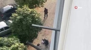 Hasan Âli Yücel’e Osmangazi vefası