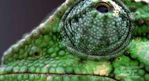 4k UHD Highlight Demo (Ultra HD) 