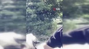 Dev gemi iskeleye böyle çarptı