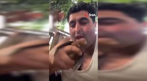 Vatandaşın ‘Bize saldırır bunlar’ diyerek heyecanla kayda aldığı yunusların şovu kamerada
