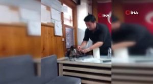 İstanbul’u aydınlatan şimşekler Bursa’dan bile görüldü