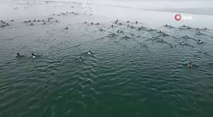 TIR park halindeki araca böyle çarptı