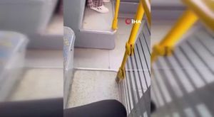 Denizli’de kaza! Bariyerleri yıkıp karşı şeride geçti: 6 ölü, 43 yaralı