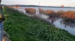 Trafikte 'çiğ köfteli' kadın trafik magandası!