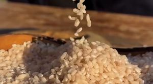 Hakkari  Yüksekova'da korkunç saldırı