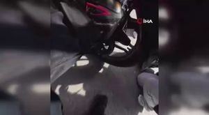 Bursa'da kış uykusuna yatmayan yılan panik yarattı