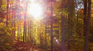 Bursa'da 'Hüdavendigâr Osmangazi Camii' dualarla ibadete açıldı