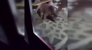 Bu köyde kadınlar hakimiyet kurdu, erkekler mehterle köyü terk etti