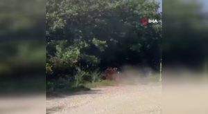 Bursa'da pilavdan zehirlenen 40 kişi hastanelik oldu