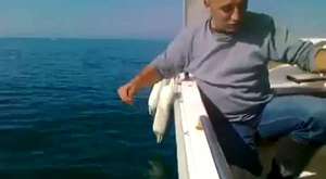 paragat ile balık avı