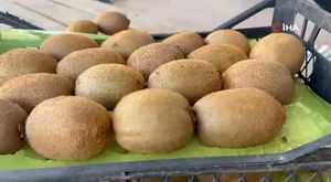 Akaryakıt istasyonunda panik anları! Yangın çıktı...